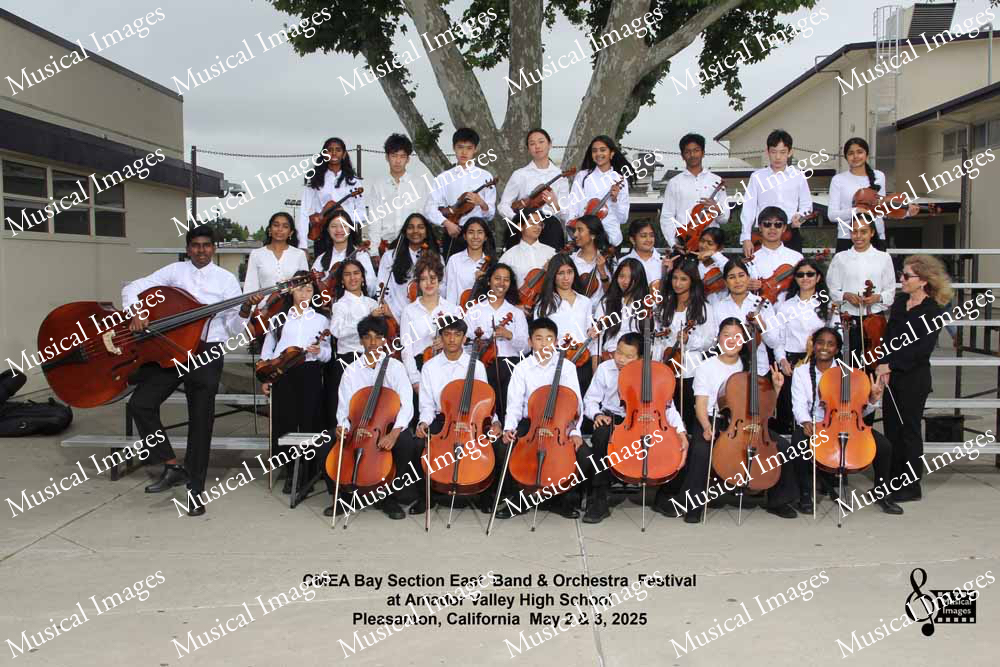 Musical Images